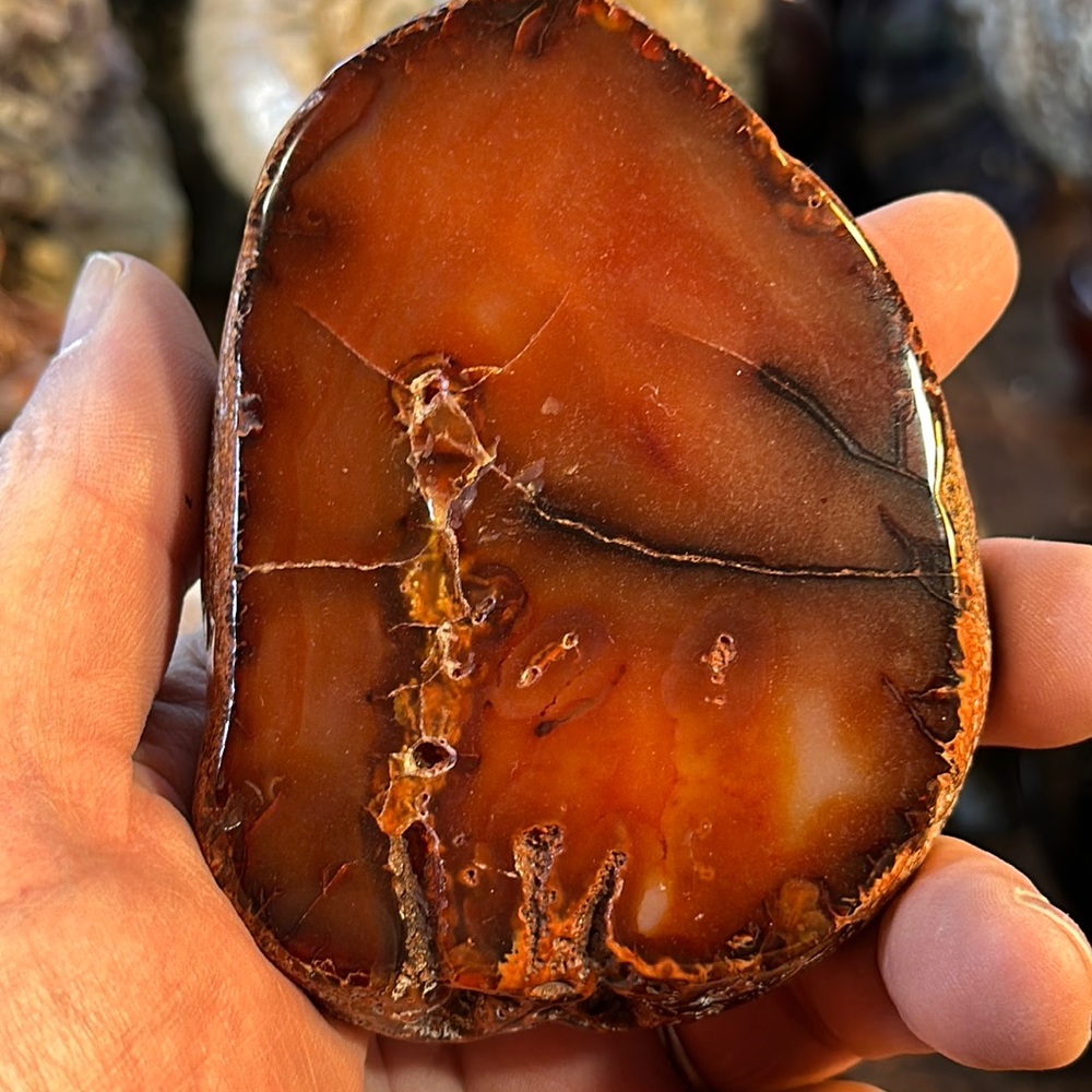 🌸SALE🌸 Carnelian Crystal Slice!